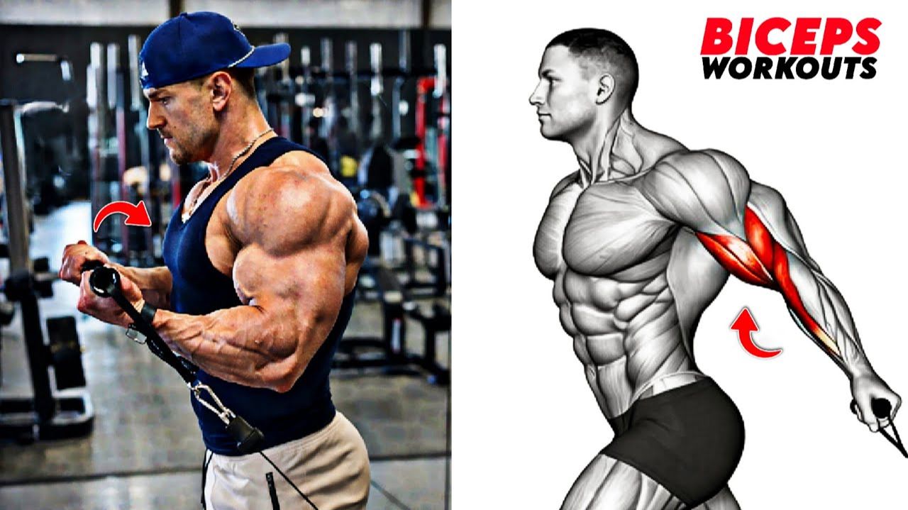 8 Идеальных Упражнений На Бицепс — Накачай Большие Руки Благодаря Этой Тренировки 🔥