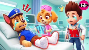 Щенячий патруль и Маршалл. Залипательное видео. Мультфильм для детей и малышей. Анимация 193