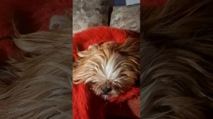 Вечер пятницы🤣