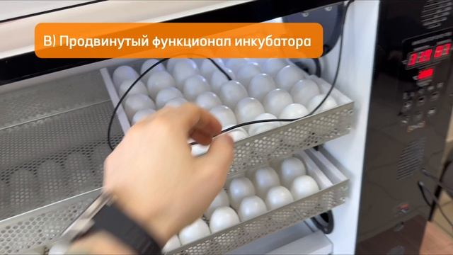 Три причины выбрать инкубатор OVO-156 (ОВО-156)