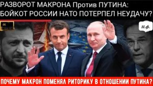 Почему Макрон смягчил риторику в отношении Путина на фоне ослабления единства в НАТО?