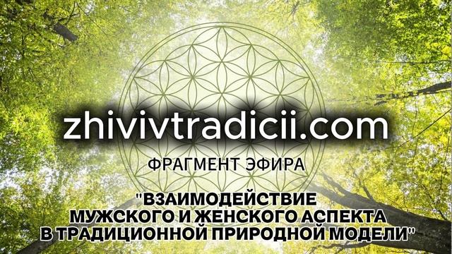 ФРАГМЕНТ ЭФИРА ВЗАИМОДЕЙСТВИЕ М И Ж АСПЕКТА В ТРАДИЦИОННОЙ ПРИРОДНОЙ МОДЕЛИ ЖИЗНИ