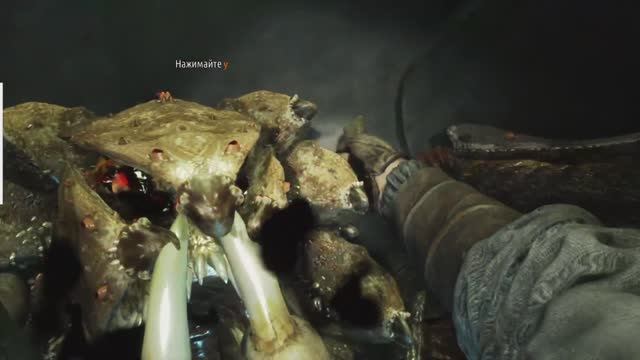 Metro Last Light 🤫 Redux №3 смотреть онлайн