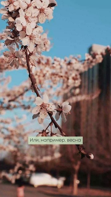 Органы, стихии и времена года — почему это важно знать каждому?