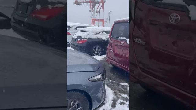 Контролируем отправку автомобиля нашего клиента из Японии