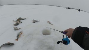 Вот это рыбалка по до льдом 15 см воды а щука с окунем дают жару.
