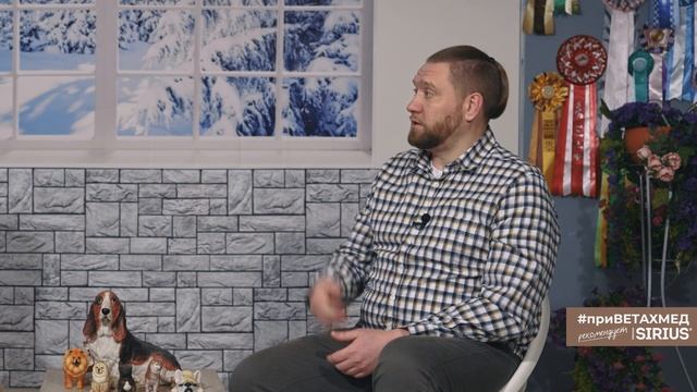 Реабилитация собак // #приВЕТАХМЕД