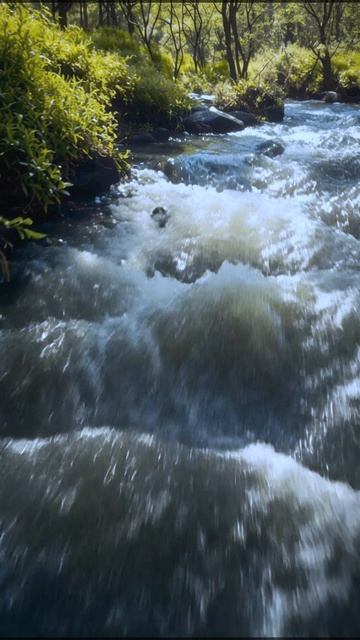 Майский день