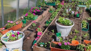 Открытие Сезона 2025