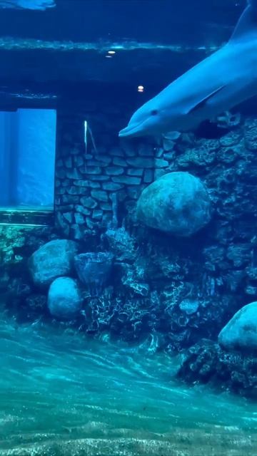 video_14107717339698.mp4