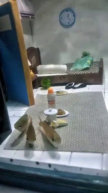 Рыбкин домик смотреть онлайн