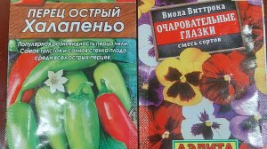 Распаковка | Фито лампа | Перец халапеньо | Виола вытянулась |