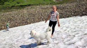 Красота Камчатки 02.08.23.