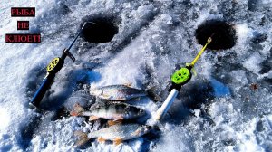 РЫБА БУДЕТ ЗАВТРА! ЗИМНЯЯ РЫБАЛКА НА МОРМЫШКУ. РЫБАЛКА В ФЕВРАЛЕ НА ПЛОТВУ. РЫБАЛКА 2026.