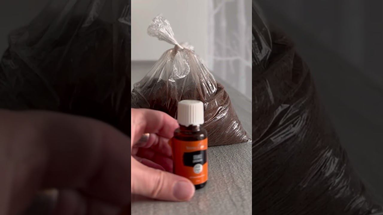 Кофе & Апельсин