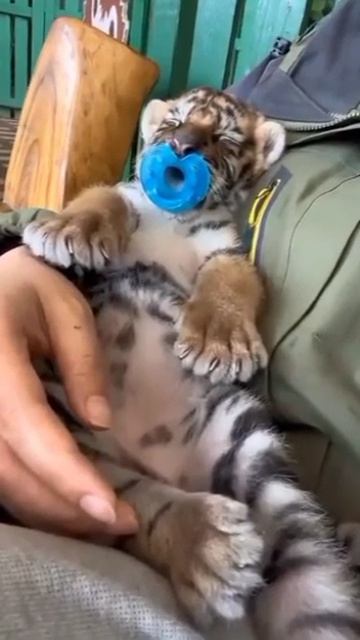 YouCut_20260206_202525138.mp4