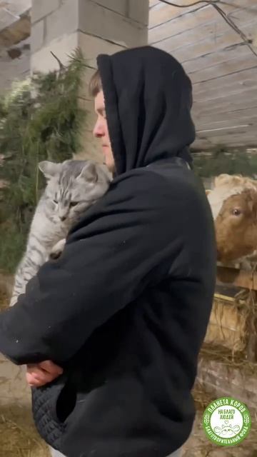 Пастух Нитай  с нашим новым пушистым жителем — котом Матроскиным.  🐱❤️ Настоящая идиллия! 🫶🏻