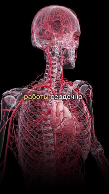 Печень не справляется? Хочешь восстановить организм? Забирай 3 закрытые лекции. Ссылка в шапке