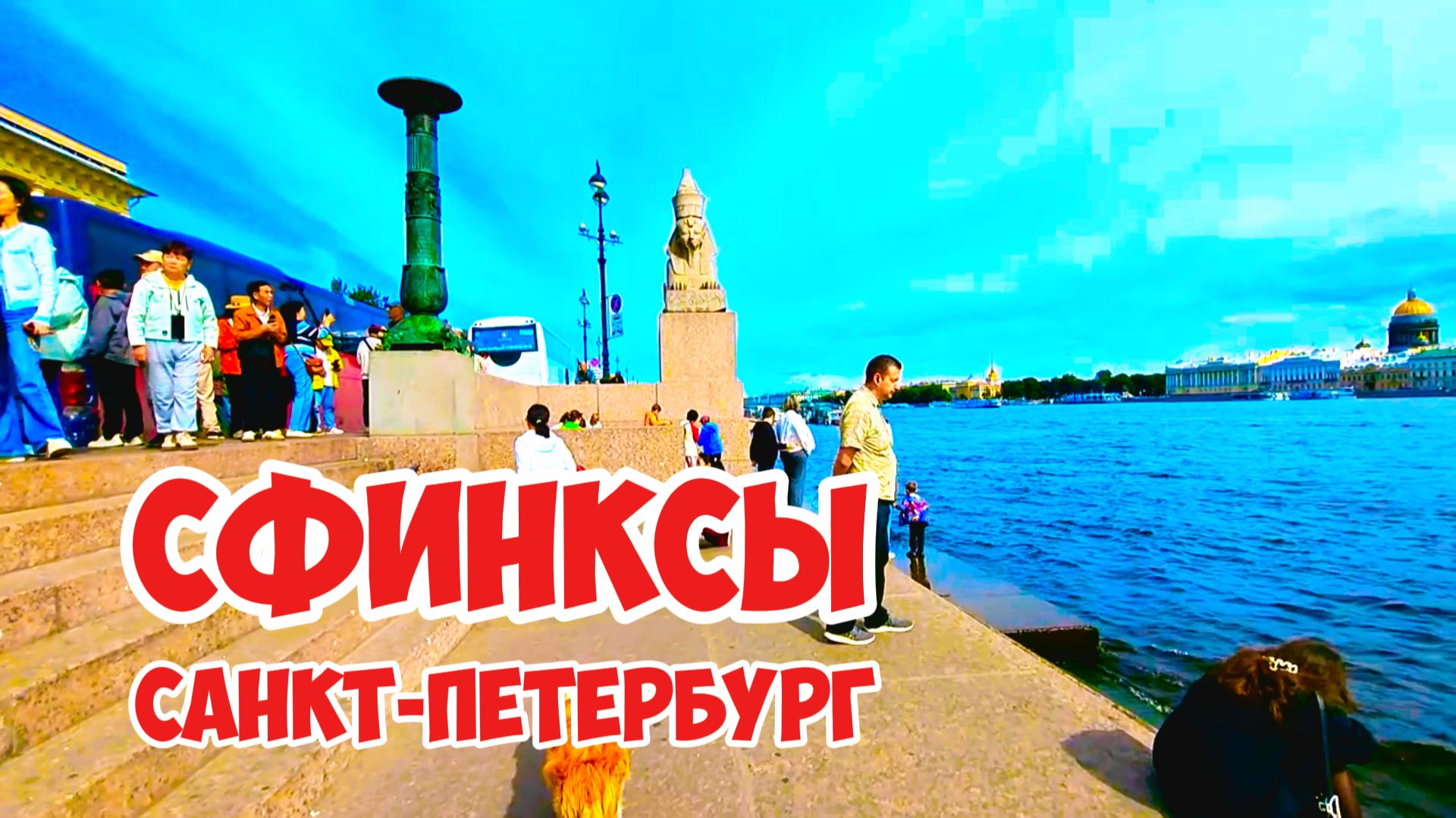 Сфинксы, Санкт-Петербург Сфинксы, Санкт-Петербург