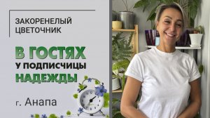 В гостях у Надежды. г.  Анапа. Лучезарная хозяйка, очаровательные коты и интересные растения.