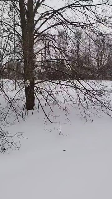 д Маклаково 50:18:0070308:565