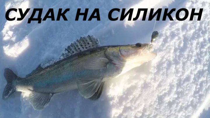 КАК ЛОВИТЬ СУДАКА на СИЛИКОНОВЫЕ ПРИМАНКИ в ФЕВРАЛЕ? СНАСТИ для РЫБАЛКИ на СУДАКА ЗИМОЙ! смотреть онлайн