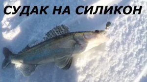 КАК ЛОВИТЬ СУДАКА на СИЛИКОНОВЫЕ ПРИМАНКИ в ФЕВРАЛЕ? СНАСТИ для РЫБАЛКИ на СУДАКА ЗИМОЙ!