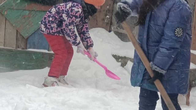 Растут мои помощники:)