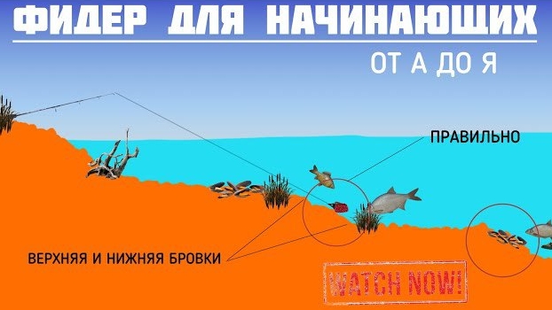 СТОИТ ли покупать ФИДЕР? Фидер для начинающих от А до Я ! Что вообще такое фидер? смотреть онлайн