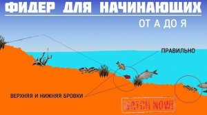 СТОИТ ли покупать ФИДЕР? Фидер для начинающих от А до Я ! Что вообще такое фидер?