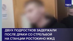 Двух подростков задержали после драки со стрельбой на станции Ростокино МЖД