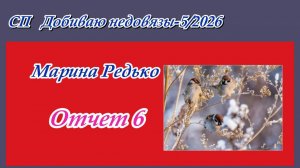 СП "Добиваю недовязы-5/2026" / Отчет 6