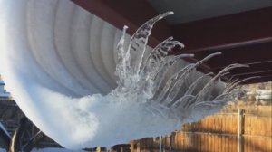 ЗИМА-ХУДОЖНИЦА, ЗИМА-ЗАТЕЙНИЦА