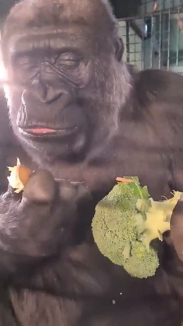 я в столовке смотреть онлайн