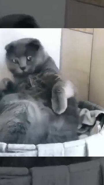 Уснул сидя на работе смотреть онлайн