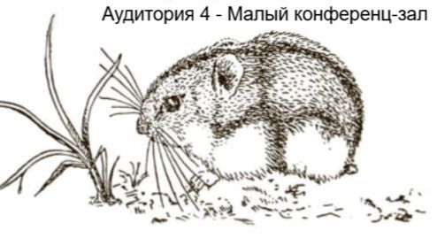 Аудитория 4 - Экология города: млекопитающие в городских экосистемах смотреть онлайн