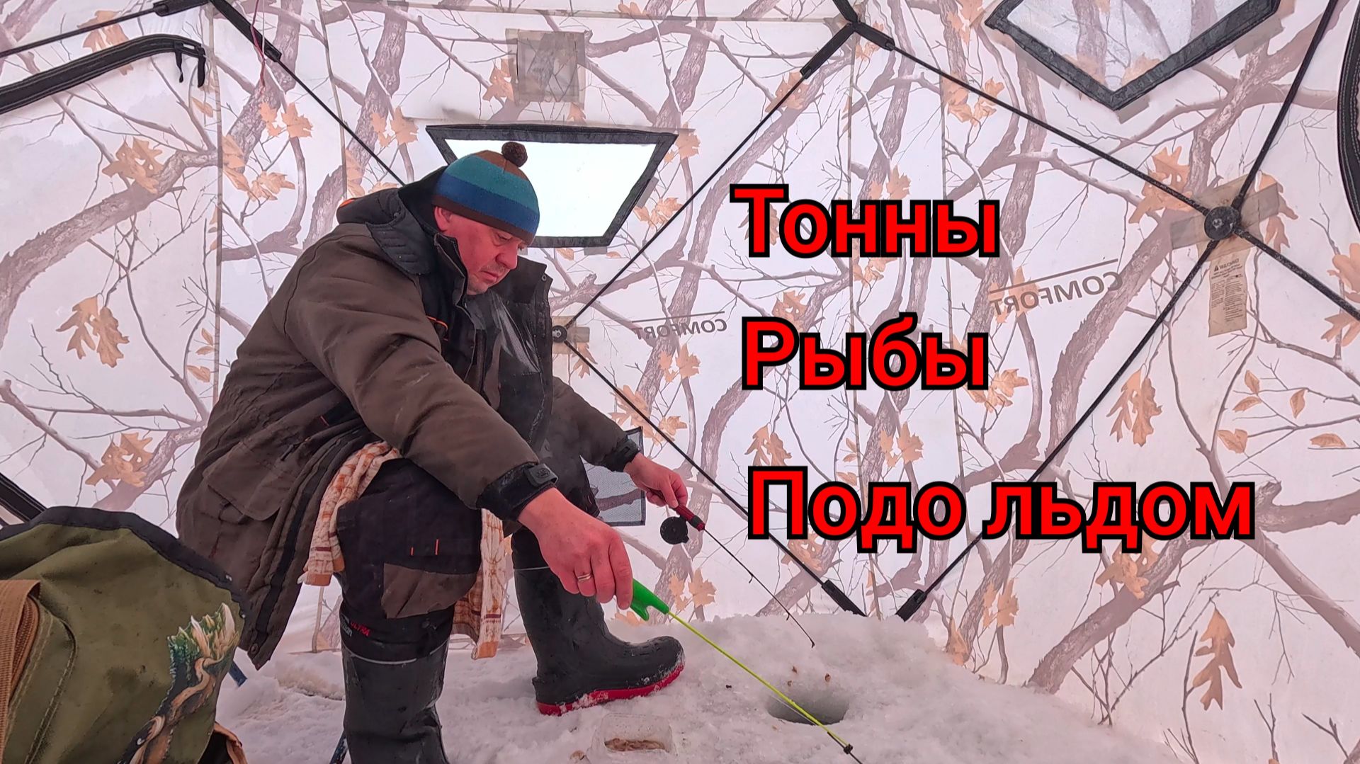 Тонны рыбы подо льдом. Первая навага.