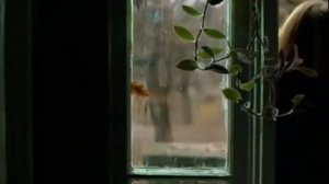 Август - Нина Бродская