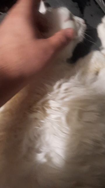 Вася в ночную смену