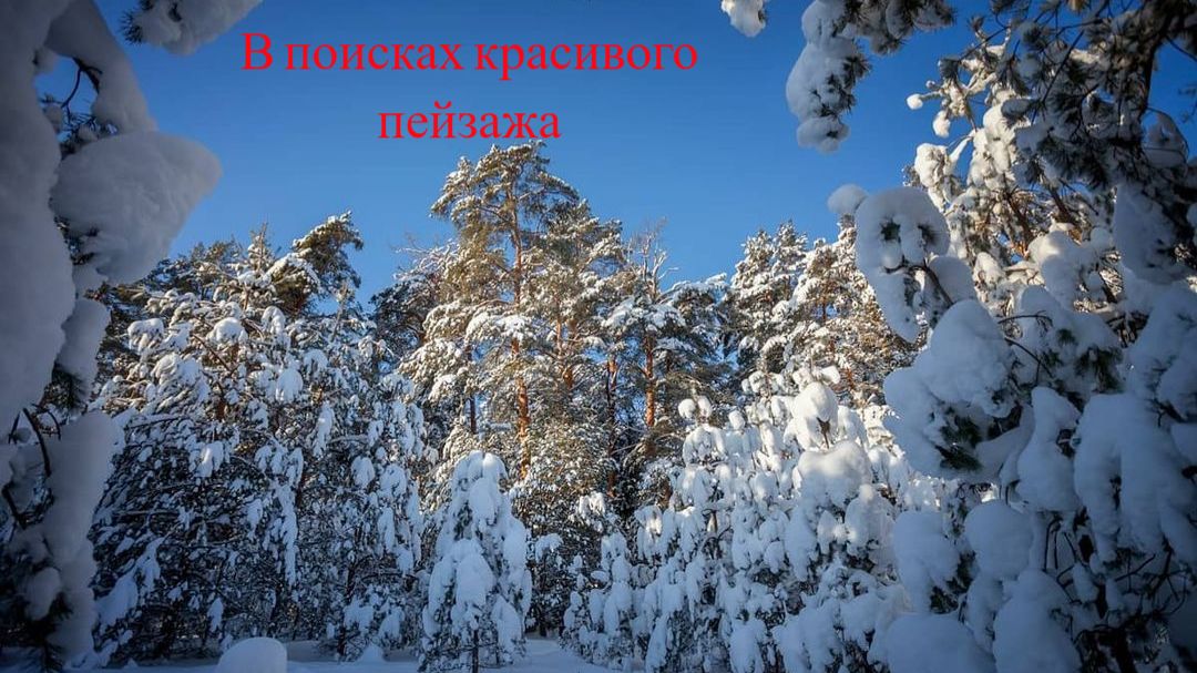 В поисках красивых зимних пейзажей / Архив / Зима