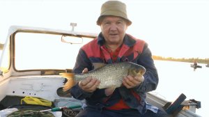 Один день рыбалки на Волге (4К)