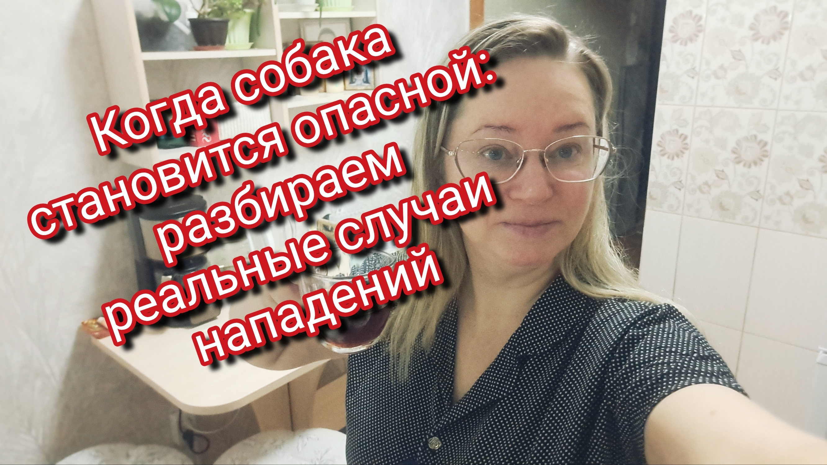 Когда собака становится опасной: разбираем реальные случаи нападений
