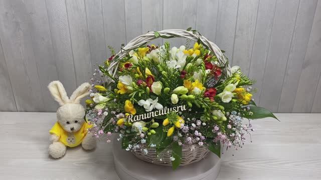 Корзина разноцветных фрезий на выписку из роддома смотреть онлайн