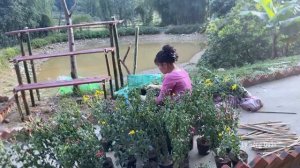 Peaceful Countryside Day Planting Coloful Flowers and Sowing Young Rice Seedlings Journey