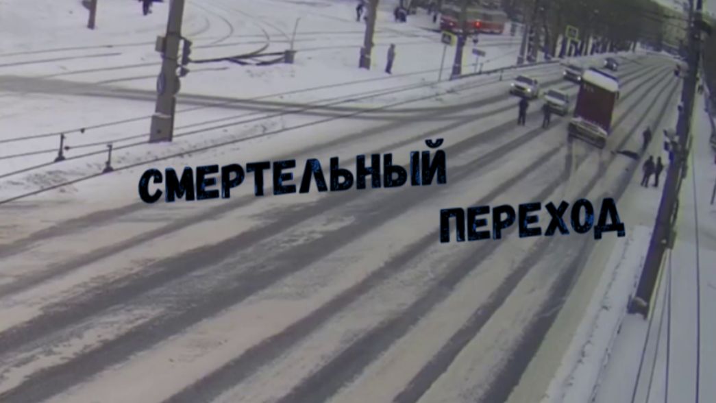 СМЕРТЕЛЬНЫЙ ПЕРЕХОД\на «красный»\опасная обочина\в сугробе\ телефон зло\лучше по «зебре»\умный пёс СМЕРТЕЛЬНЫЙ ПЕРЕХОД\на «красный»\опасная обочина\в сугробе\ телефон зло\лучше по «зебре»\умный пёс