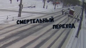 СМЕРТЕЛЬНЫЙ ПЕРЕХОД\\на "красный"\опасная обочина\в сугробе\ телефон зло\лучше по "зебре"\умный пёс