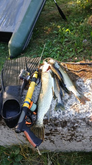 Карелия, подводная охота с Виктором 22.08.2025