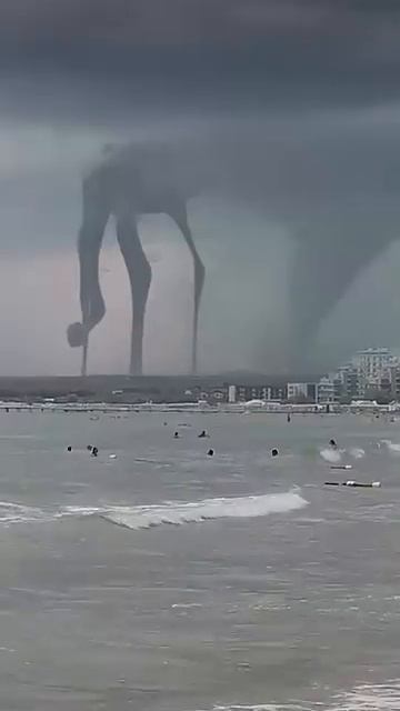 в анапе в шторм появилось нечто