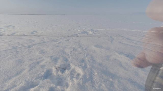 Мороз и солнце — вечерняя рыбалка в устье реки Волхове ❄️ Мороз и солнце — вечерняя рыбалка в устье реки Волхове ❄️