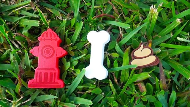 Настя и песенка для детей про собаку Бинго